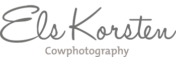 Els Korsten Cowphotography Logo